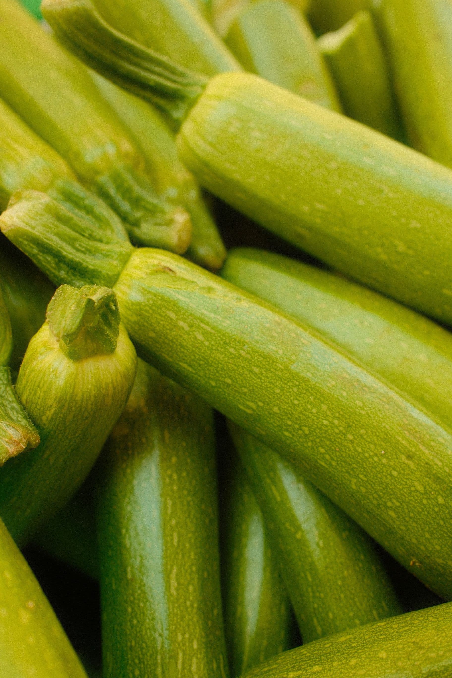 Bottle Gourd sourced from India