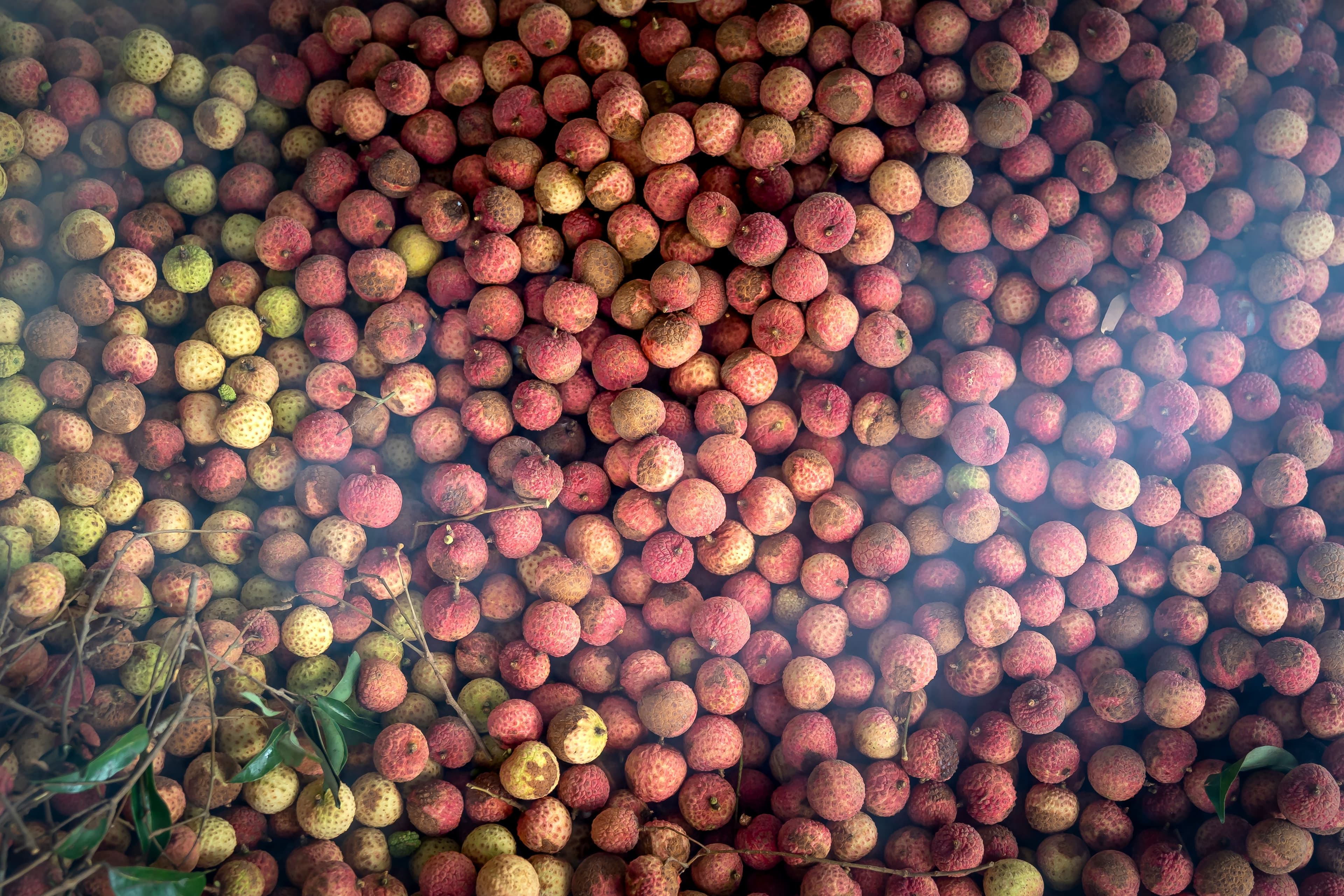 Litchi sourced from India