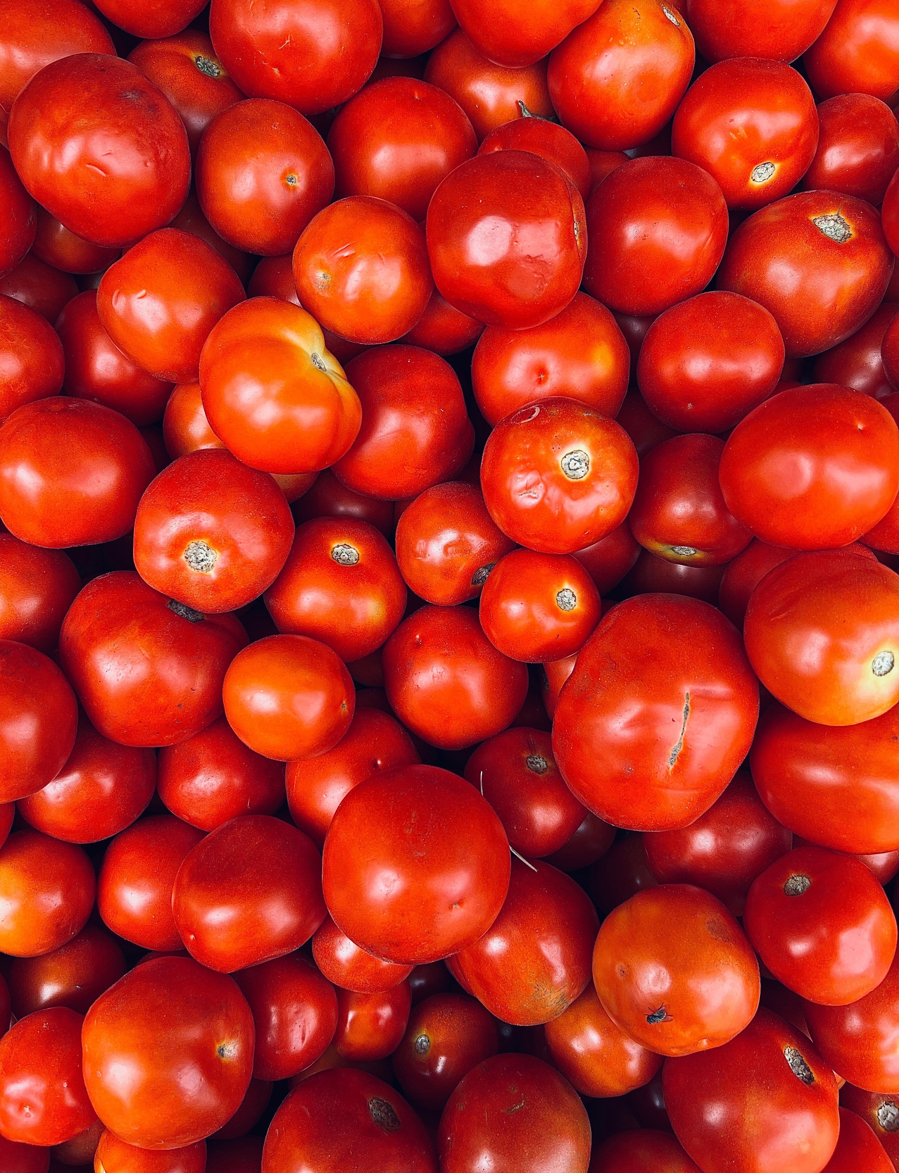 Tomato sourced from India